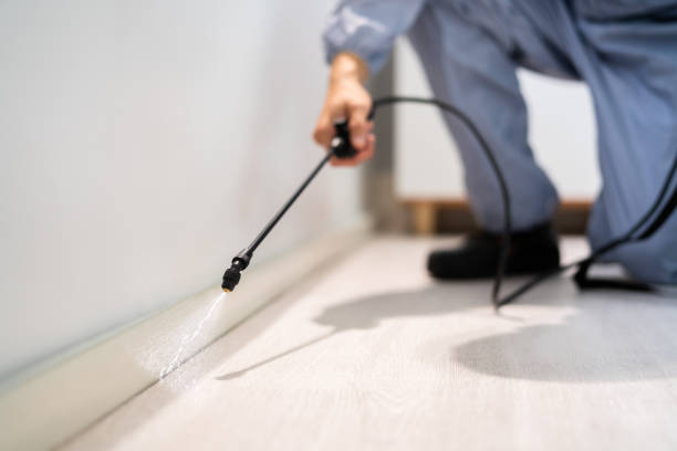Licensed Pest Control service in Ashford, AL - Show Me Pest Control