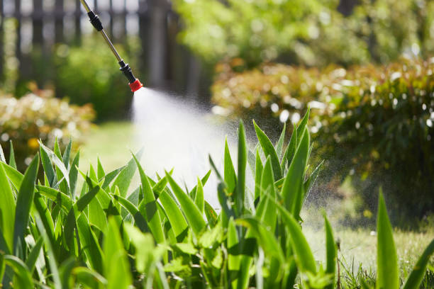 24/7 Emergency Wasp Removal experts in Ashford, AL