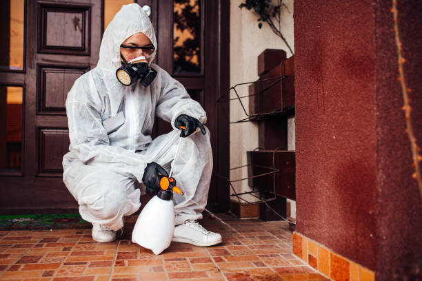Reliable Wasp Removal contractor in Ashford, AL by Show Me Pest Control